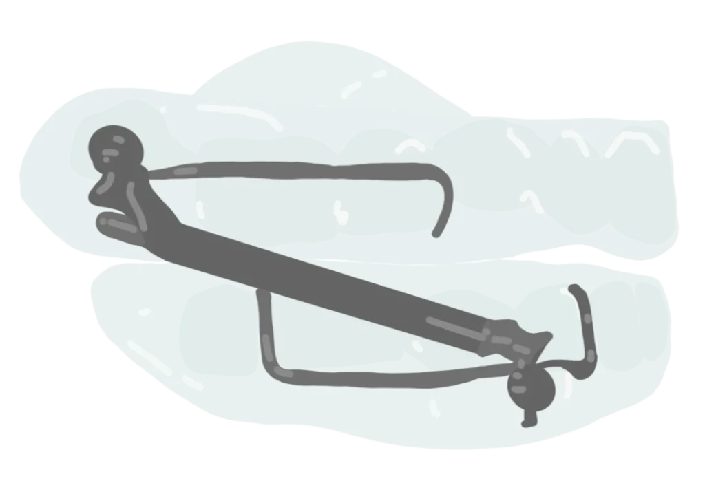 le guedard bielles seules